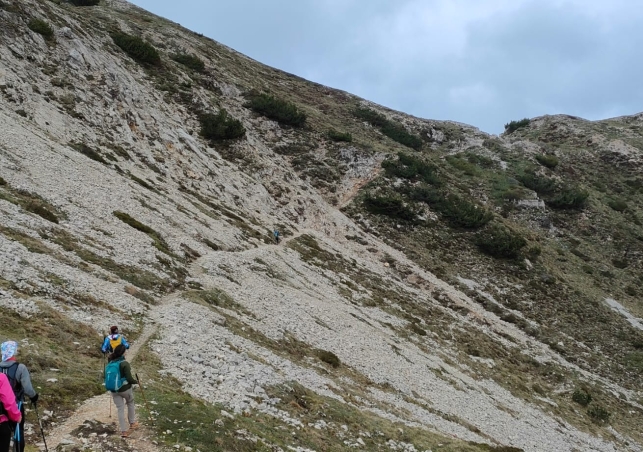 Pasubio_202200060