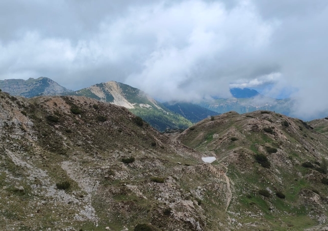 Pasubio_202200061