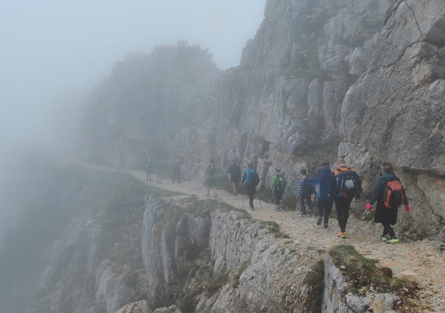 Pasubio_202200072