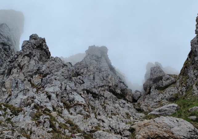 Pasubio_202200080