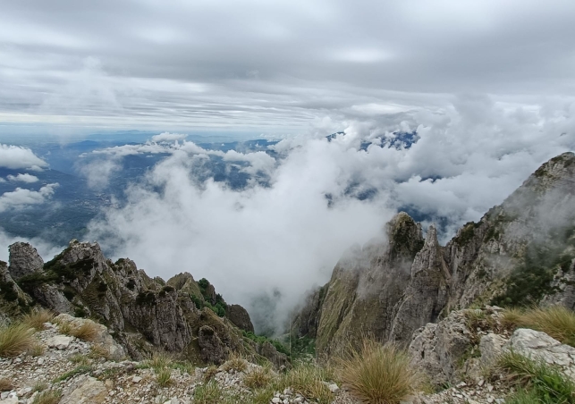 Pasubio_202200169